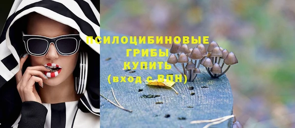 кристаллы Гусиноозёрск