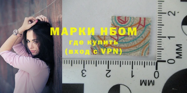 индика Гусев