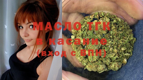 индика Гусев