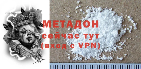 индика Гусев