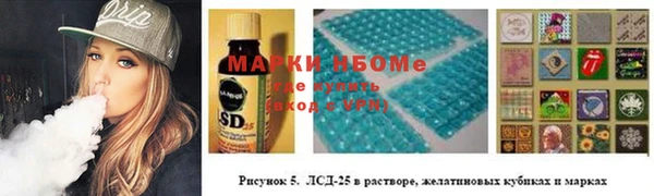 индика Гусев