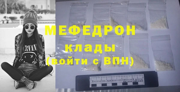 индика Гусев