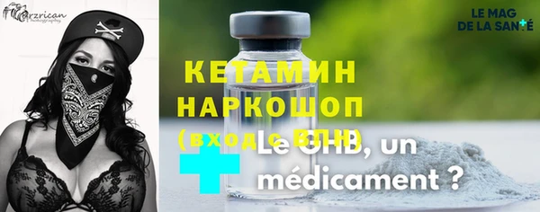 индика Гусев