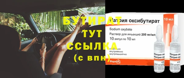 индика Гусев