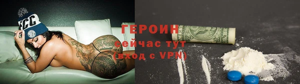 индика Гусев
