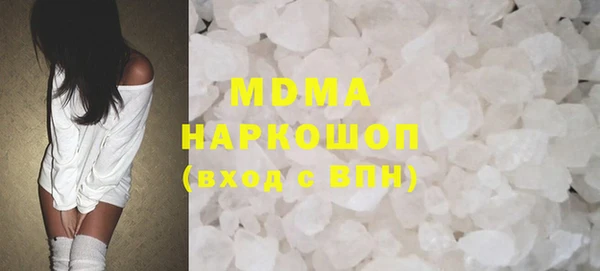 индика Гусев