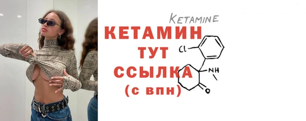 индика Гусев