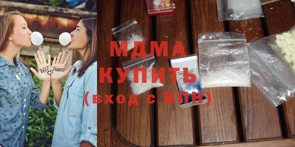 индика Гусев