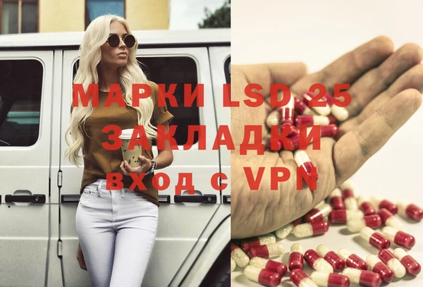 индика Гусев