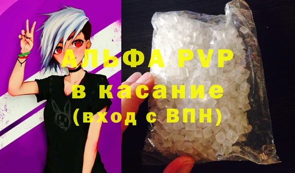 индика Гусев