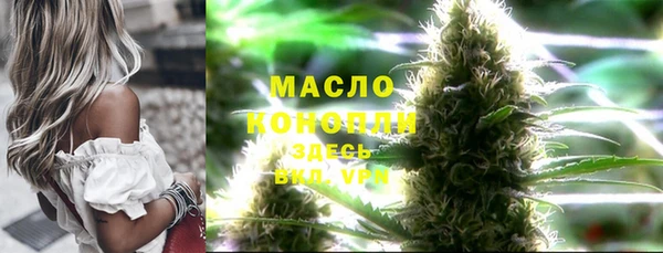 индика Гусев